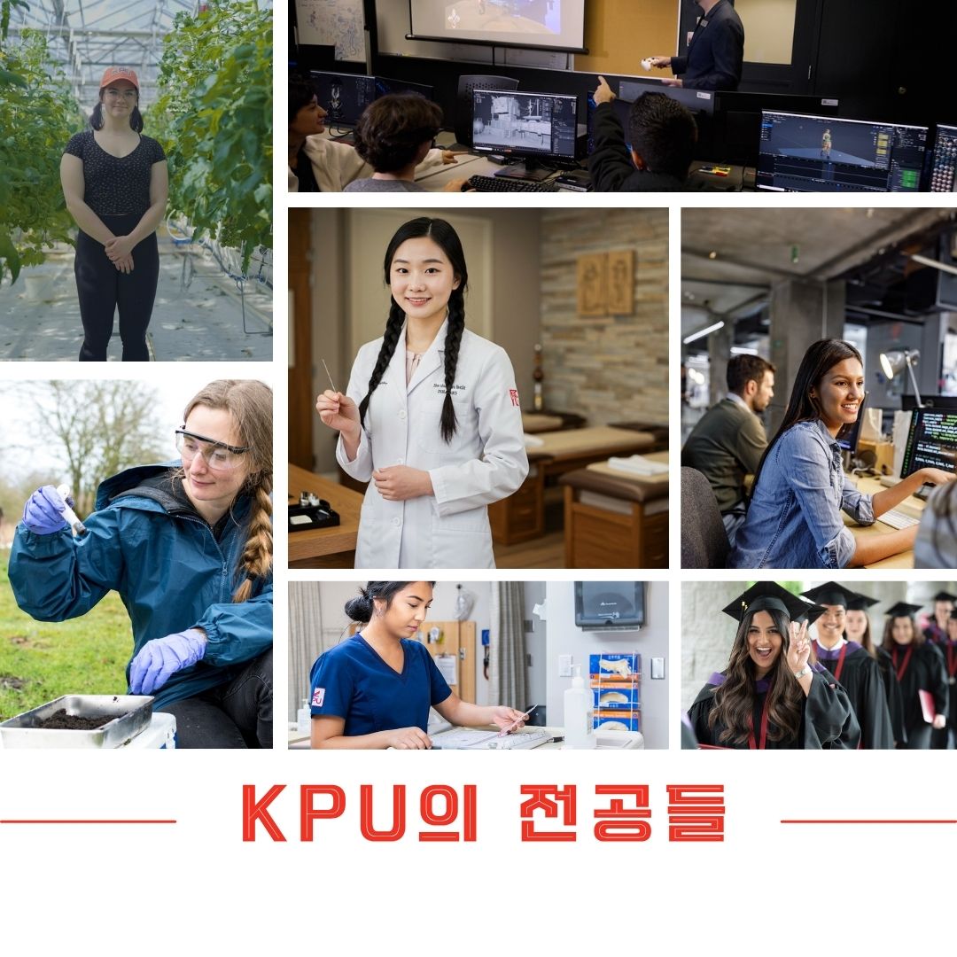 콴틀란대학교 KPU 다양한 추천전공들 