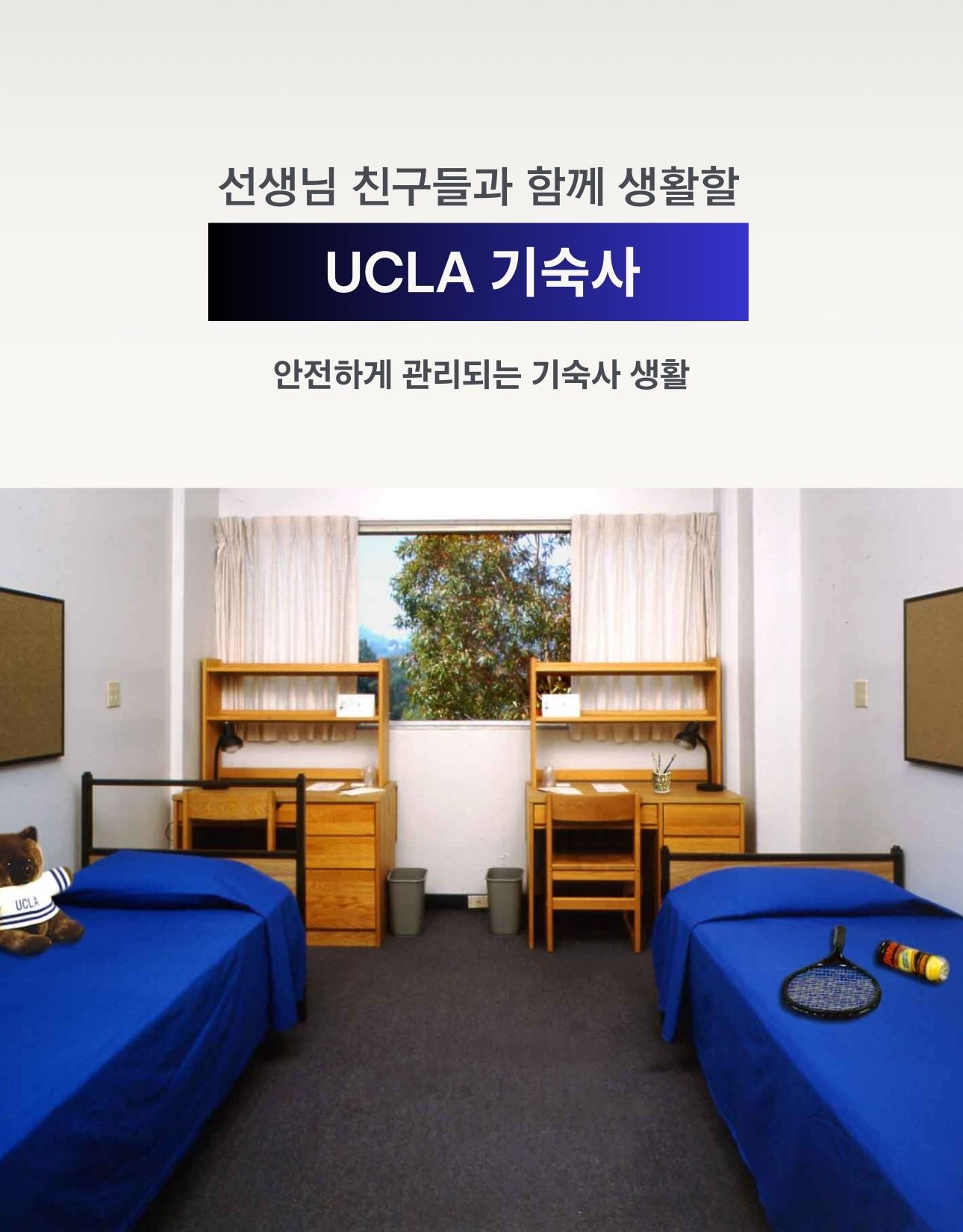 UCLA 대학교 기숙사 방