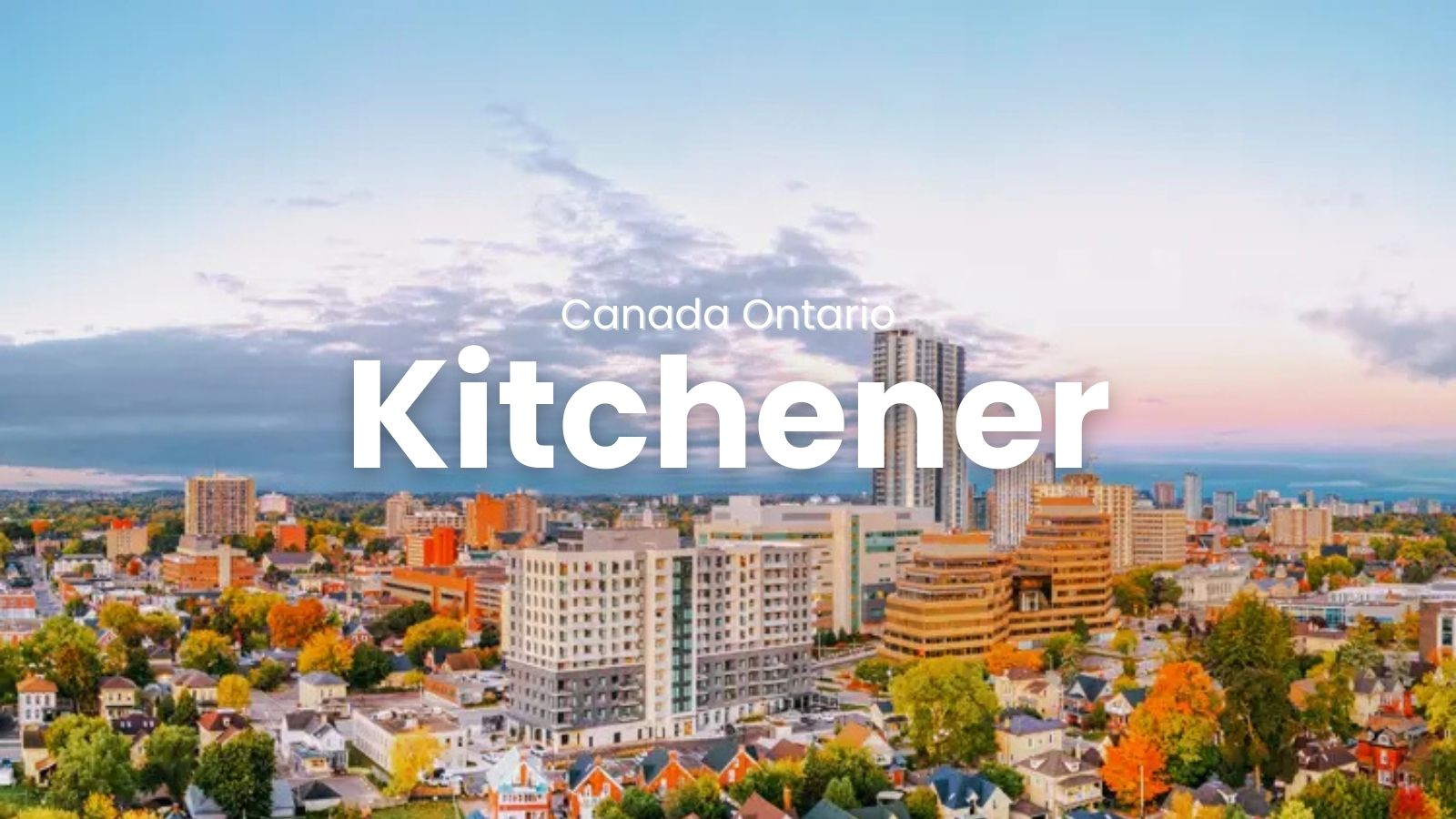 코네스토가컬리지 캠퍼스별 정보 