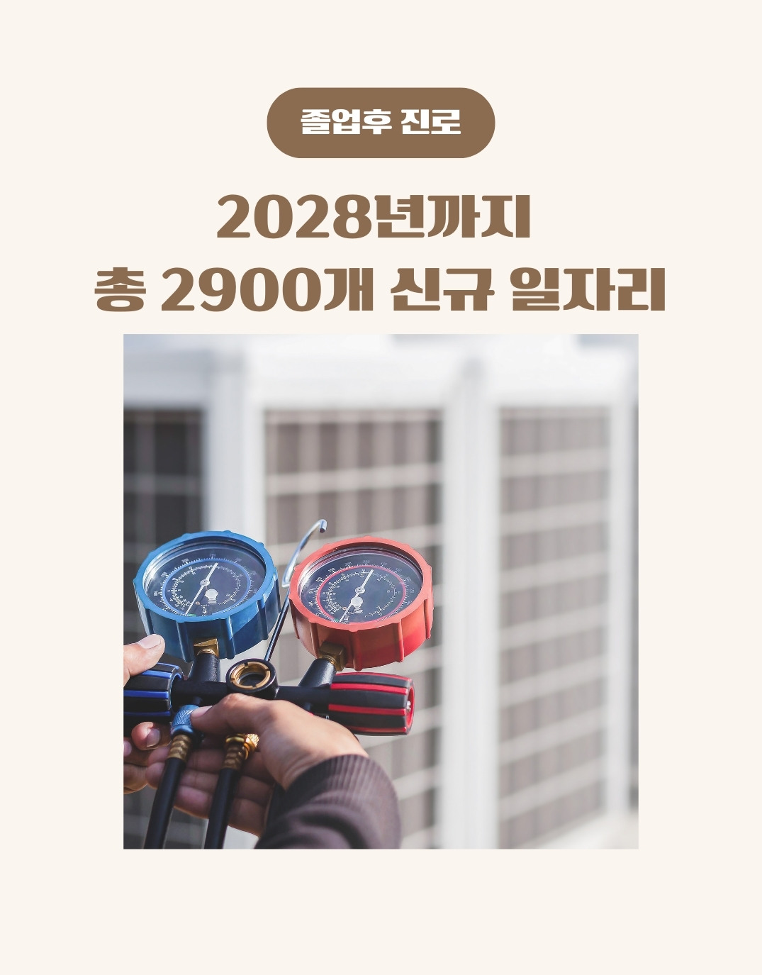 졸업후 취업 진로