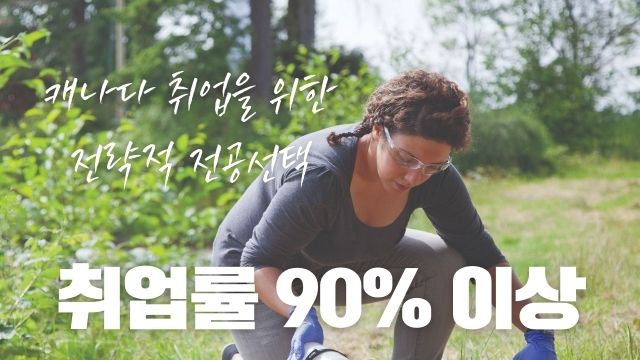 캐나다취업 90% 이상. 