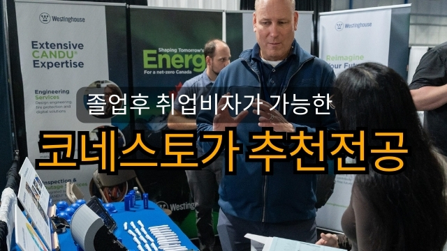 코네스토가컬리지 졸업후 추천전공 